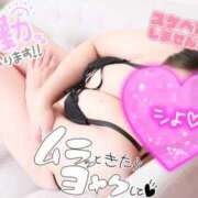 ヒメ日記 2025/09/25 20:50 投稿 まや 風俗の神様　浜松店