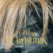 ヒメ日記 2024/12/24 20:28 投稿 あおな タレント倶楽部Around40