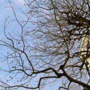 ヒメ日記 2025/01/31 16:32 投稿 あおな タレント倶楽部Around40