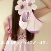 ヒメ日記 2025/02/24 17:10 投稿 あおな タレント倶楽部Around40