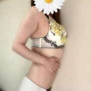 ヒメ日記 2025/05/03 14:06 投稿 あおな タレント倶楽部Around40