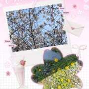 ヒメ日記 2025/04/04 15:29 投稿 みこ 奥様プリモ