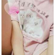 ヒメ日記 2025/06/06 15:09 投稿 みこ 奥様プリモ