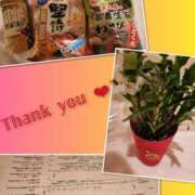 ヒメ日記 2025/01/04 05:14 投稿 リモ マットDEY-jo（マット・デ・ワイジョ）