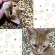 ヒメ日記 2025/01/14 04:24 投稿 リモ マットDEY-jo（マット・デ・ワイジョ）