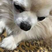 ヒメ日記 2025/01/26 03:05 投稿 リモ マットDEY-jo（マット・デ・ワイジョ）