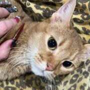 ヒメ日記 2025/02/25 05:43 投稿 リモ マットDEY-jo（マット・デ・ワイジョ）