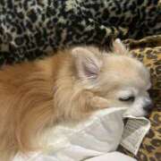 ヒメ日記 2025/04/02 14:40 投稿 リモ マットDEY-jo（マット・デ・ワイジョ）