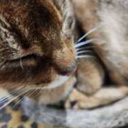 ヒメ日記 2025/05/21 02:43 投稿 リモ マットDEY-jo（マット・デ・ワイジョ）