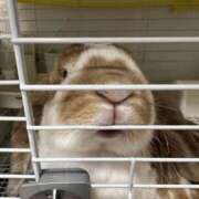 ヒメ日記 2025/05/28 17:24 投稿 リモ マットDEY-jo（マット・デ・ワイジョ）