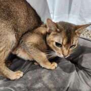 ヒメ日記 2025/06/25 07:33 投稿 リモ マットDEY-jo（マット・デ・ワイジョ）