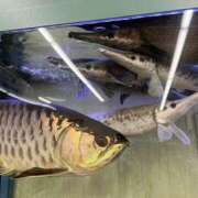 ヒメ日記 2025/07/01 04:22 投稿 リモ マットDEY-jo（マット・デ・ワイジョ）