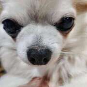 ヒメ日記 2025/07/18 04:08 投稿 リモ マットDEY-jo（マット・デ・ワイジョ）