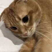 ヒメ日記 2025/07/24 17:03 投稿 リモ マットDEY-jo（マット・デ・ワイジョ）