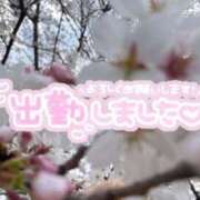 ヒメ日記 2025/04/11 09:03 投稿 はるな 横浜ハッピーマットパラダイス