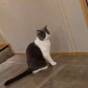 ヒメ日記 2025/01/06 01:32 投稿 ゆうき 若妻淫乱倶楽部　越谷店