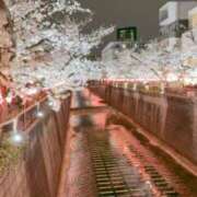 ヒメ日記 2025/04/01 17:54 投稿 ゆうき 若妻淫乱倶楽部　越谷店