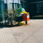 ヒメ日記 2026/01/14 21:16 投稿 ゆうき 若妻淫乱倶楽部　越谷店