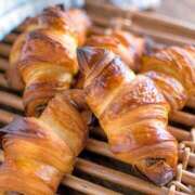 ヒメ日記 2025/05/31 14:09 投稿 ゆあ 愛媛松山ちゃんこ