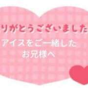 ゆあ お礼? 愛媛松山ちゃんこ