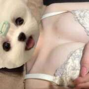 あかね ゼロツー201のお兄様💌 君を舐めたくて学園