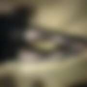 ヒメ日記 2026/02/27 10:00 投稿 みく かりんと池袋