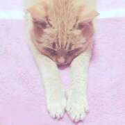 ヒメ日記 2026/03/05 20:30 投稿 りな 熟女の風俗最終章 西川口店