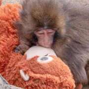 ヒメ日記 2026/03/25 13:40 投稿 りな 熟女の風俗最終章 西川口店