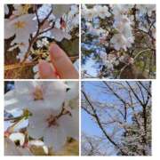 ヒメ日記 2026/03/29 15:59 投稿 りな 熟女の風俗最終章 西川口店