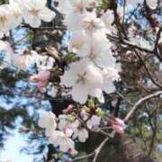 ヒメ日記 2026/03/30 21:25 投稿 りな 熟女の風俗最終章 西川口店