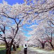 ヒメ日記 2026/04/03 17:46 投稿 りな 熟女の風俗最終章 西川口店