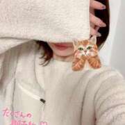 ヒメ日記 2024/12/21 23:19 投稿 プレミアしずく【一押しの美女】 LIPS(リップス)