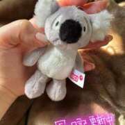 ヒメ日記 2025/02/13 15:33 投稿 プレミアしずく【一押しの美女】 LIPS(リップス)