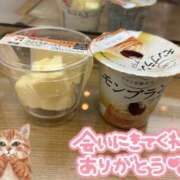 ヒメ日記 2025/02/19 11:35 投稿 プレミアしずく【一押しの美女】 LIPS(リップス)