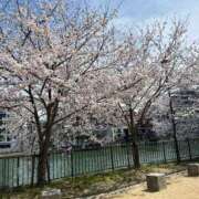 ヒメ日記 2025/03/31 12:48 投稿 プレミアしずく【一押しの美女】 LIPS(リップス)