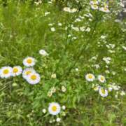 ヒメ日記 2025/06/12 22:51 投稿 プレミアしずく【一押しの美女】 LIPS(リップス)