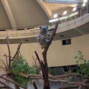 ヒメ日記 2025/10/20 11:38 投稿 プレミアしずく【一押しの美女】 LIPS(リップス)