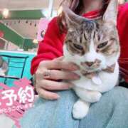 ヒメ日記 2025/11/22 21:38 投稿 プレミアしずく【一押しの美女】 LIPS(リップス)