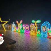 ヒメ日記 2025/11/25 23:40 投稿 プレミアしずく【一押しの美女】 LIPS(リップス)