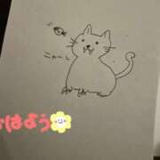 ヒメ日記 2025/12/19 10:05 投稿 プレミアしずく【一押しの美女】 LIPS(リップス)