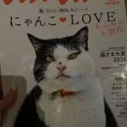 ヒメ日記 2026/02/22 00:09 投稿 プレミアしずく【一押しの美女】 LIPS(リップス)