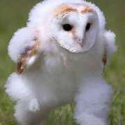 ヒメ日記 2025/06/06 17:36 投稿 まお あふたーすくーる本店