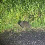 ヒメ日記 2025/09/21 16:11 投稿 まお あふたーすくーる本店