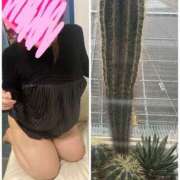 ヒメ日記 2025/03/11 23:41 投稿 しずく 逢って30秒で即尺