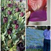 ヒメ日記 2025/04/25 23:31 投稿 しずく 逢って30秒で即尺