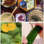 ヒメ日記 2025/07/20 22:07 投稿 しずく 逢って30秒で即尺