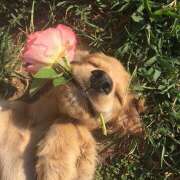 ヒメ日記 2025/03/31 13:26 投稿 あき THE・TRY