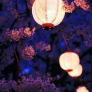 ヒメ日記 2025/04/11 11:11 投稿 あき THE・TRY