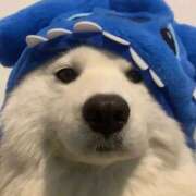 ヒメ日記 2025/06/05 13:01 投稿 あき THE・TRY