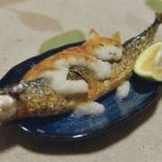 ヒメ日記 2026/01/30 01:05 投稿 あき THE・TRY